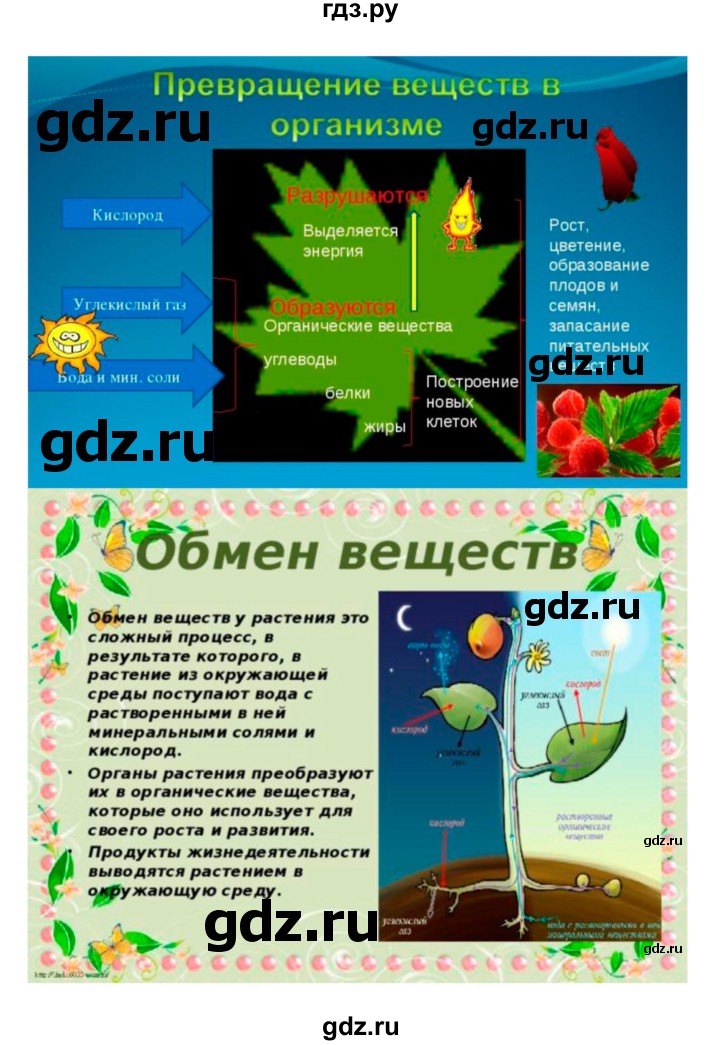 ГДЗ по биологии 7 класс Пономарева рабочая тетрадь  параграф - 28, Решебник