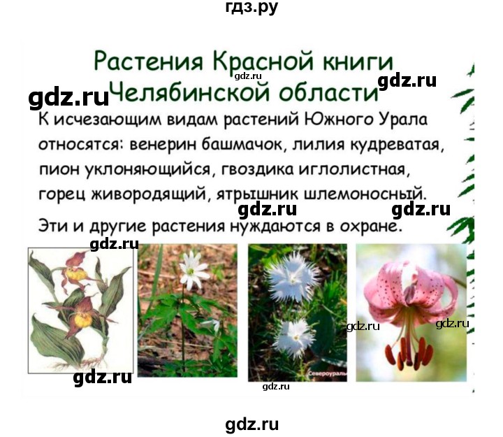 ГДЗ по биологии 7 класс Пономарева рабочая тетрадь  параграф - 3, Решебник