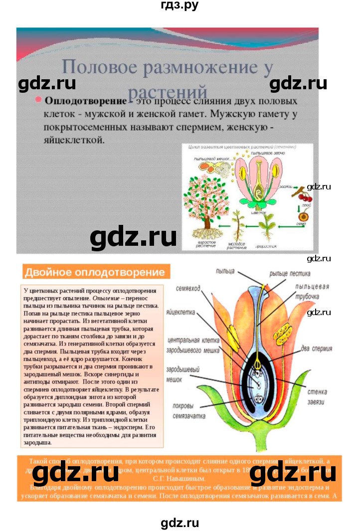 ГДЗ по биологии 7 класс Пономарева рабочая тетрадь  параграф - 30, Решебник