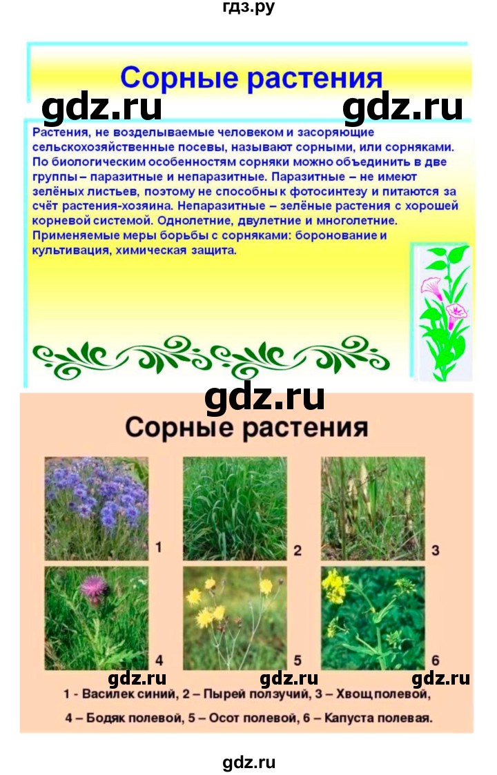 ГДЗ по биологии 7 класс Пономарева рабочая тетрадь  параграф - 46, Решебник
