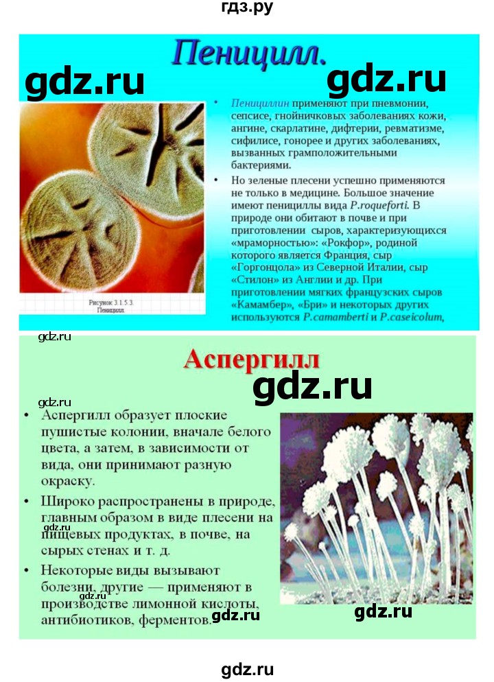 ГДЗ по биологии 7 класс Пономарева рабочая тетрадь  параграф - 51, Решебник