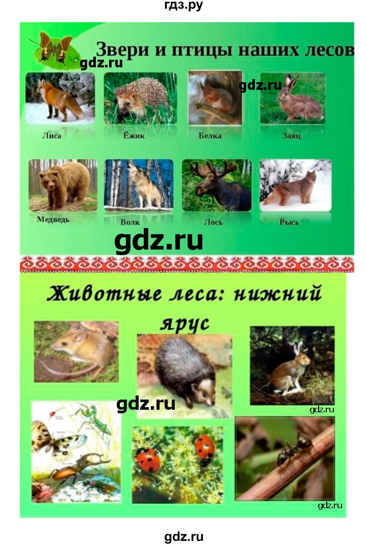 ГДЗ по биологии 7 класс Пономарева рабочая тетрадь  параграф - 55, Решебник