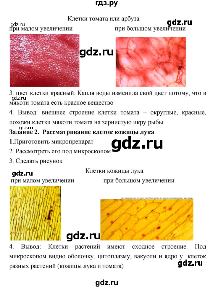 ГДЗ по биологии 7 класс Пономарева рабочая тетрадь  параграф - 7, Решебник