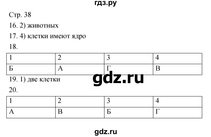 ГДЗ по биологии 5‐6 класс Сухорукова тетрадь-тренажёр  часть 1 (страница) - 38, Решебник №1