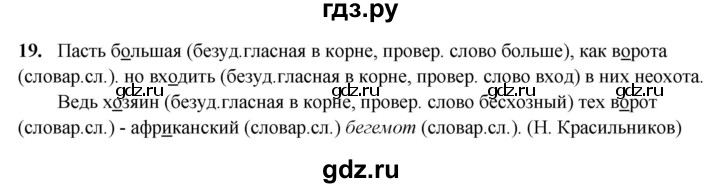 ГДЗ по русскому языку 5 класс Янченко рабочая тетрадь Скорая помощь (Ладыженская)  упражнение - 19, Решебник 2019