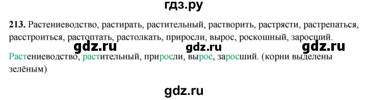 ГДЗ по русскому языку 5 класс Янченко рабочая тетрадь Скорая помощь (Ладыженская)  упражнение - 213, Решебник 2019