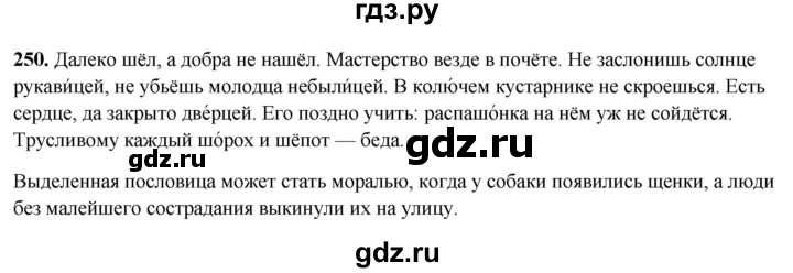 ГДЗ по русскому языку 5 класс Янченко рабочая тетрадь Скорая помощь (Ладыженская)  упражнение - 250, Решебник 2019
