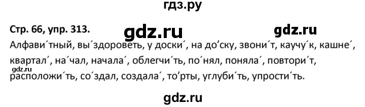 ГДЗ по русскому языку 5 класс Янченко рабочая тетрадь Скорая помощь (Ладыженская)  упражнение - 313, Решебник 2017