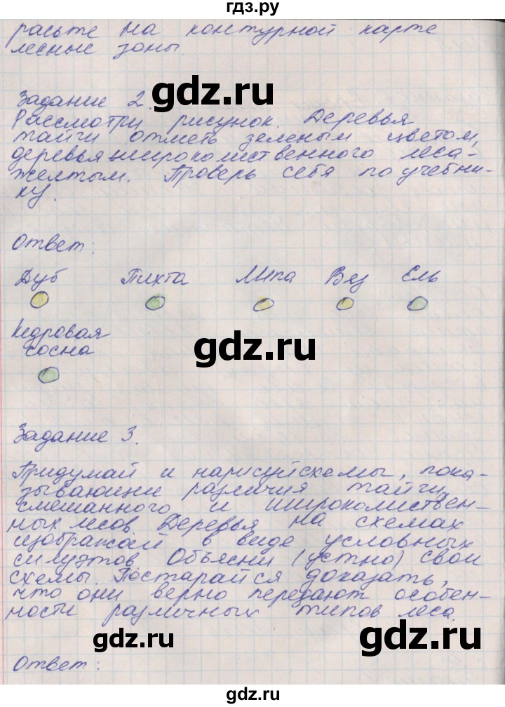 ГДЗ по окружающему миру 4 класс Плешаков рабочая тетрадь  часть 1. страница - 50, Решебник 2016