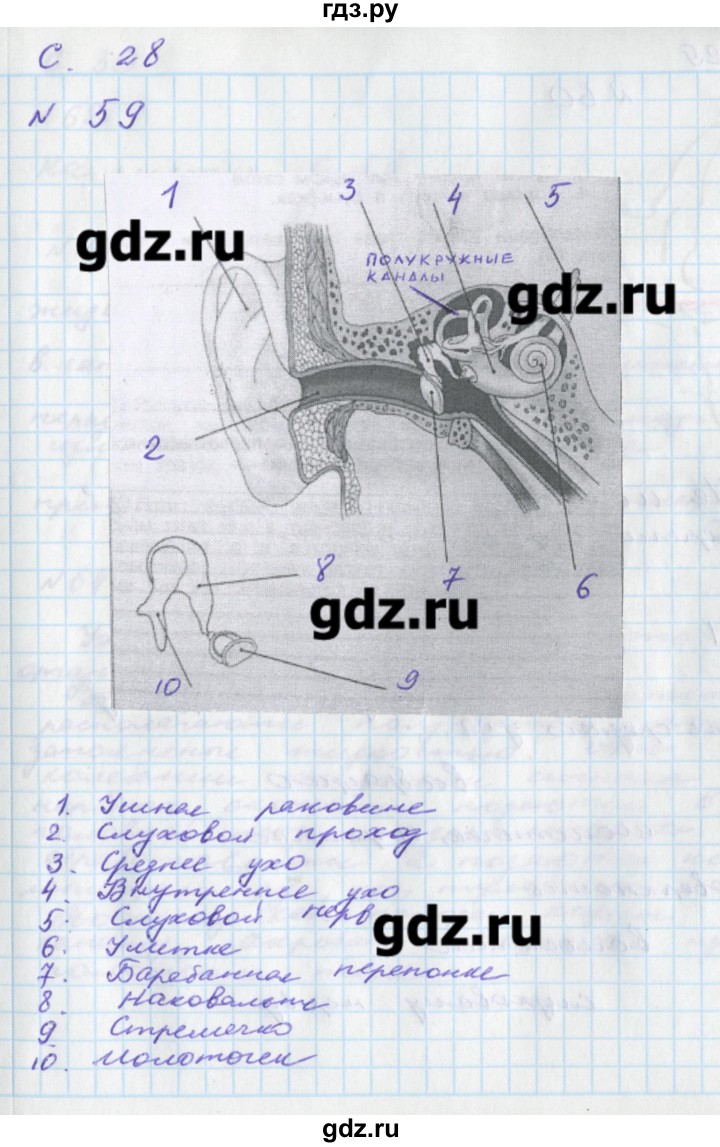 ГДЗ по окружающему миру 4 класс Федотова тетрадь для самостоятельной работы  часть 2. страница - 28, Решебник №1