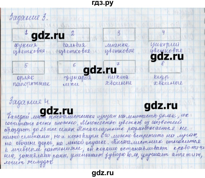 ГДЗ Часть 1. Страница 53 Окружающий Мир 3 Класс Рабочая Тетрадь.