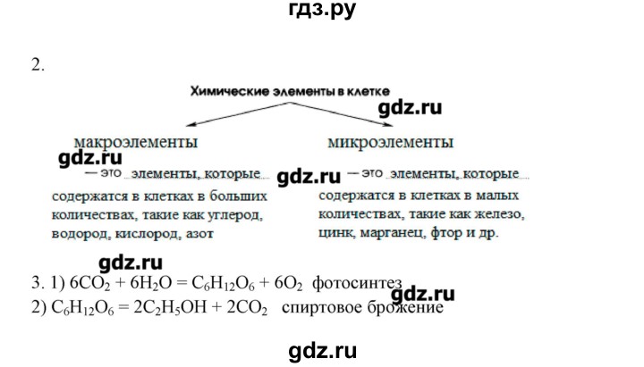ГДЗ по химии 10 класс Габриелян рабочая тетрадь Базовый уровень страница - 63, Решебник