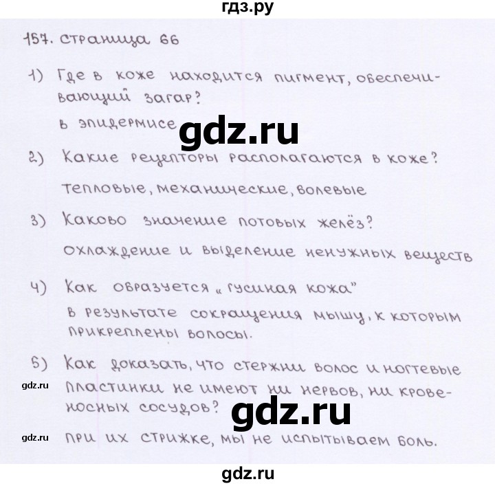 ГДЗ по биологии 8 класс Колесов рабочая тетрадь  задание - 157, Решебник к тетради 2016