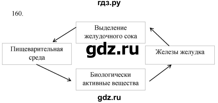 ГДЗ по биологии 8 класс Колесов рабочая тетрадь  задание - 160, Решебник к тетради 2018