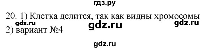 ГДЗ по биологии 8 класс Колесов рабочая тетрадь  задание - 20, Решебник к тетради 2018