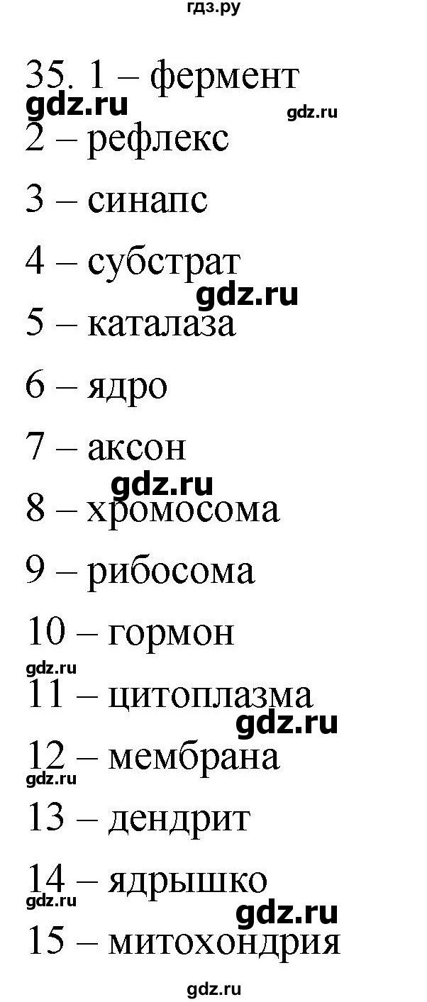 ГДЗ по биологии 8 класс Колесов рабочая тетрадь  задание - 35, Решебник к тетради 2018