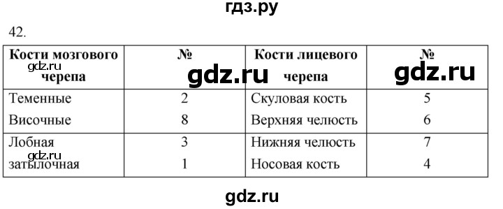 ГДЗ по биологии 8 класс Колесов рабочая тетрадь  задание - 42, Решебник к тетради 2018