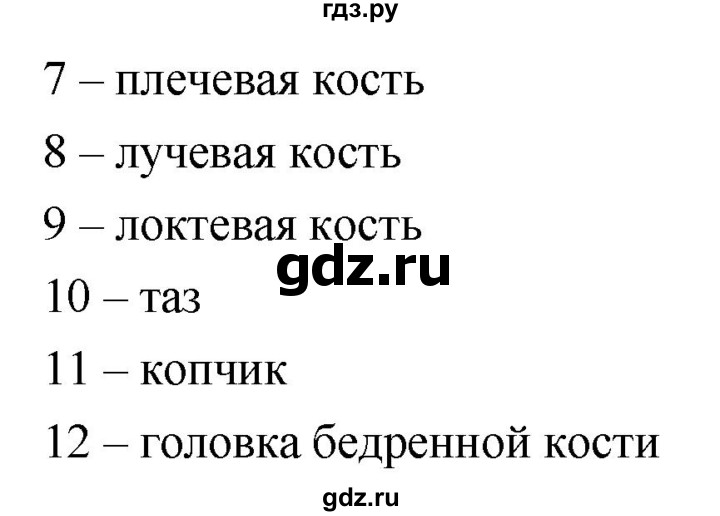 ГДЗ по биологии 8 класс Колесов рабочая тетрадь  задание - 46, Решебник к тетради 2018