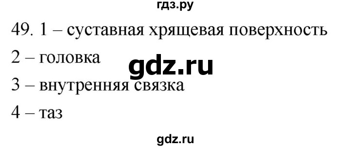 ГДЗ по биологии 8 класс Колесов рабочая тетрадь  задание - 49, Решебник к тетради 2018