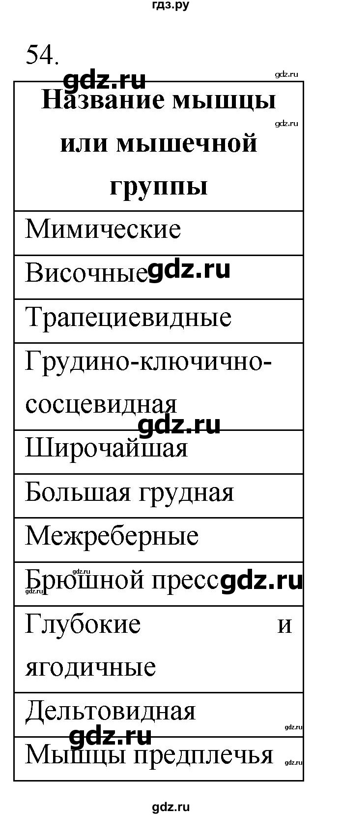 ГДЗ по биологии 8 класс Колесов рабочая тетрадь  задание - 54, Решебник к тетради 2018