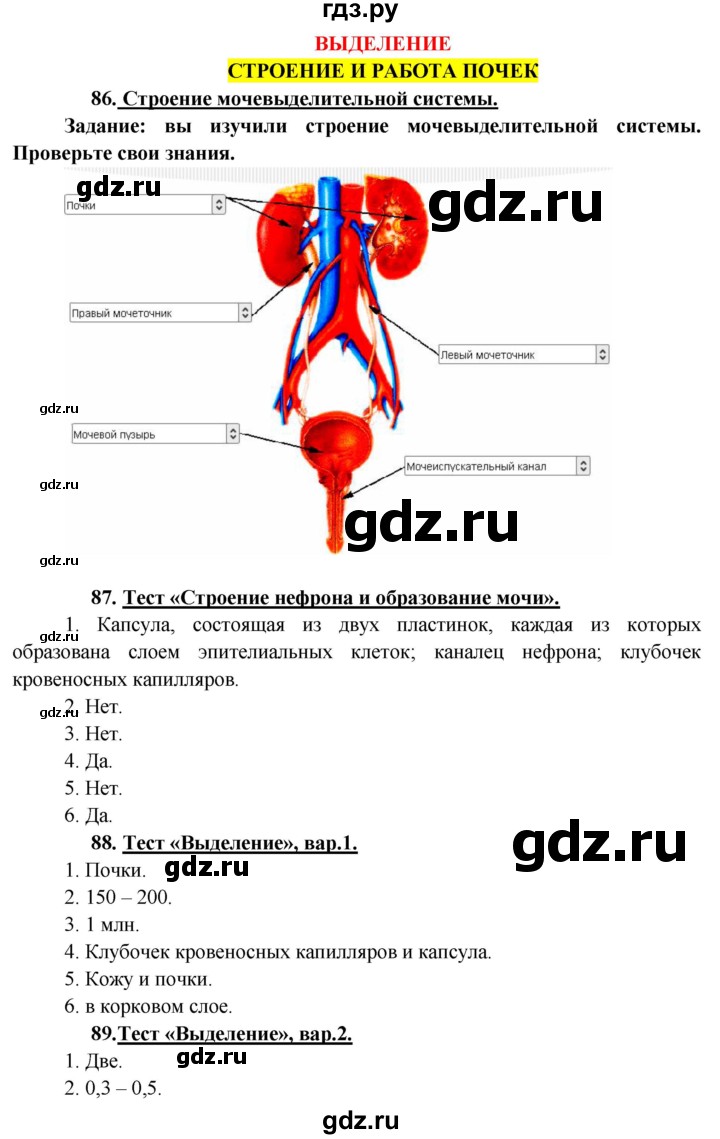 ГДЗ по биологии 8 класс Сонин   страница - 204, Решебник к учебнику 2013
