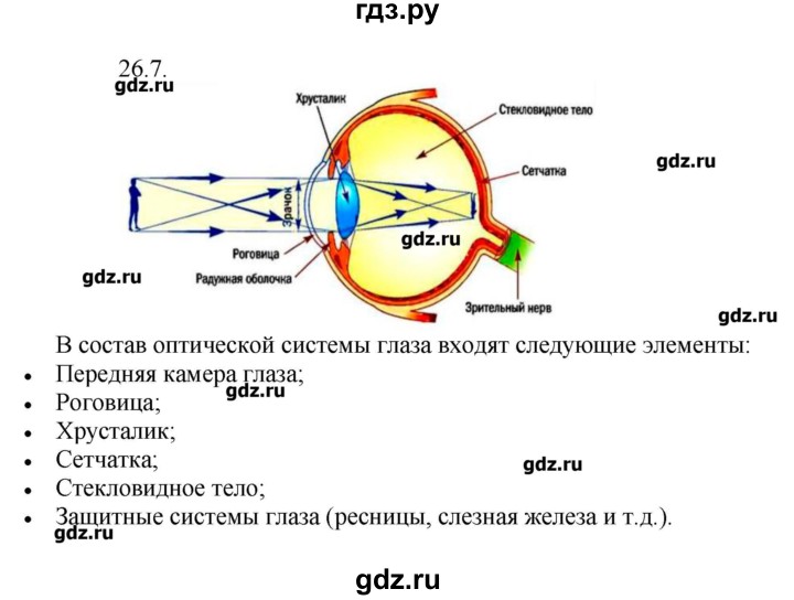 ГДЗ по физике 8 класс Генденштейн   задачи / параграф 26 - 7, Решебник
