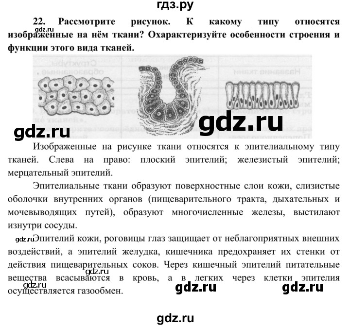 ГДЗ по биологии 8 класс Сонин рабочая тетрадь  номер - 22, Решебник к тетради 2014