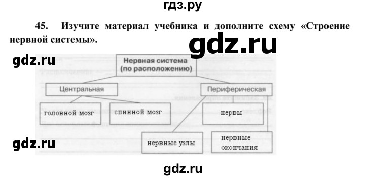 ГДЗ по биологии 8 класс Сонин рабочая тетрадь Человек  номер - 45, Решебник к тетради 2014