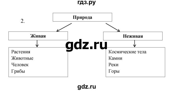 ГДЗ по биологии 6 класс Сонин рабочая тетрадь  номер - 2, Решебник