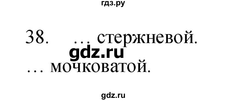 ГДЗ по биологии 6 класс Сонин рабочая тетрадь  номер - 38, Решебник