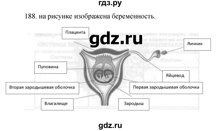 ГДЗ по биологии 7 класс Захаров рабочая тетрадь Многообразие живых организмов  упражнение - 188, Решебник