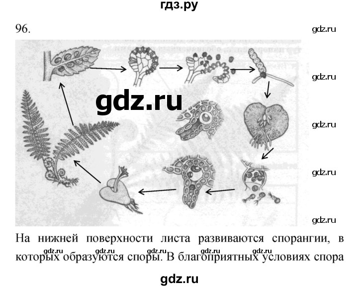 ГДЗ по биологии 7 класс Захаров рабочая тетрадь  упражнение - 96, Решебник