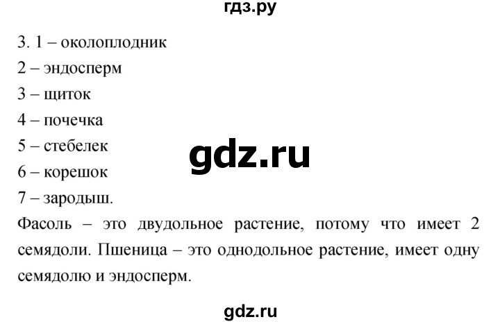 ГДЗ по биологии 6 класс Пасечник рабочая тетрадь Многообразие покрытосеменных растений  номер - 3, Решебник