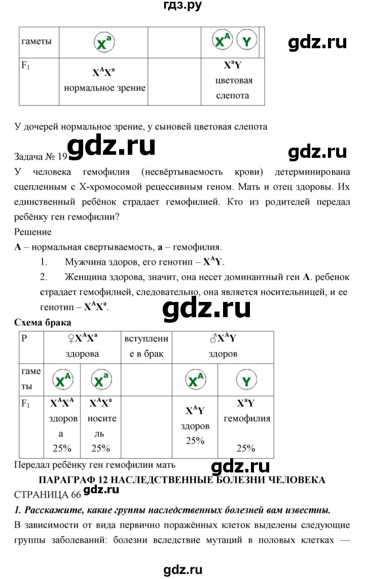 ГДЗ по биологии 11 класс Пономарева  Базовый уровень страница - 63, Решебник к учебнику 2018