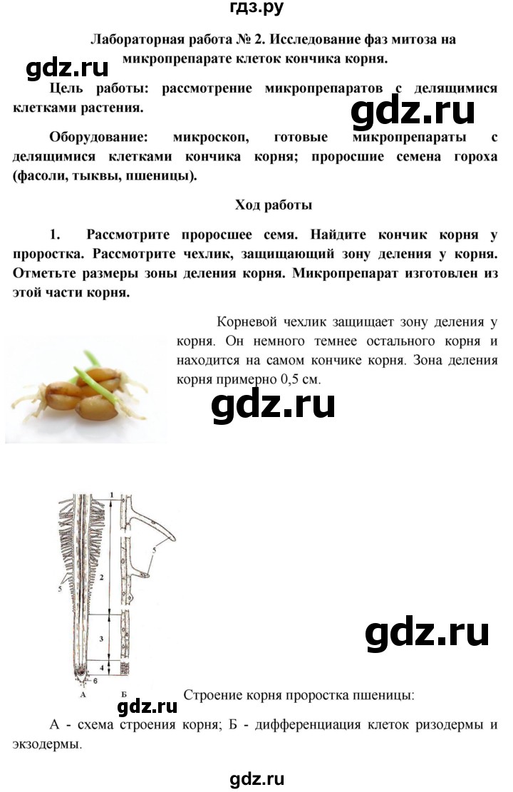 ГДЗ по биологии 11 класс Пономарева  Базовый уровень страница - 128, Решебник к учебнику 2012