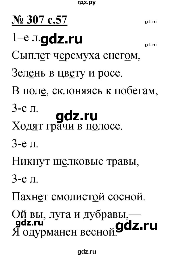 ГДЗ по русскому языку 4 класс Ломакович   упражнение - 307, Решебник №1