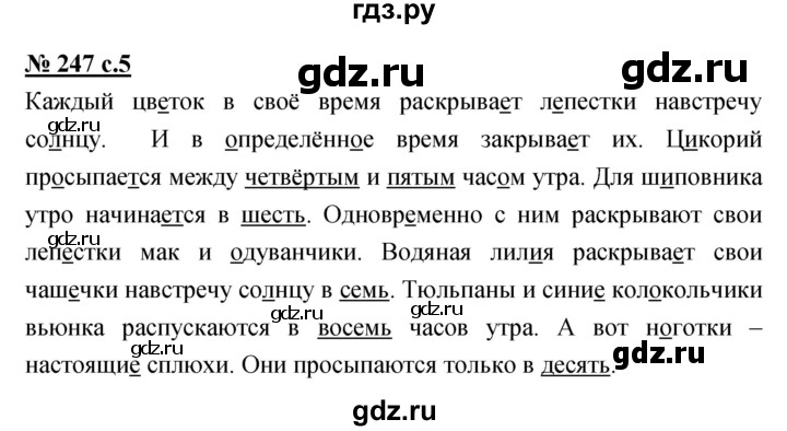 ГДЗ по русскому языку 4 класс Ломакович   упражнение - 247, Решебник №1