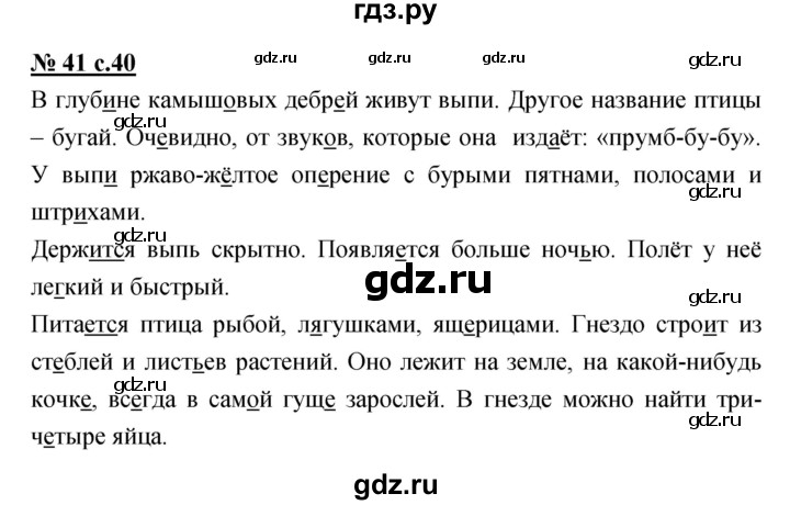 ГДЗ по русскому языку 4 класс Ломакович   упражнение - 41, Решебник №1
