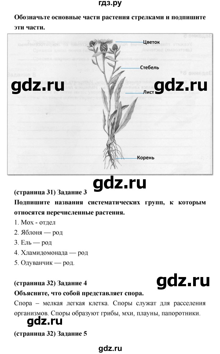 ГДЗ по биологии 5 класс Корнилова рабочая тетрадь  параграф - 11, Решебник №1