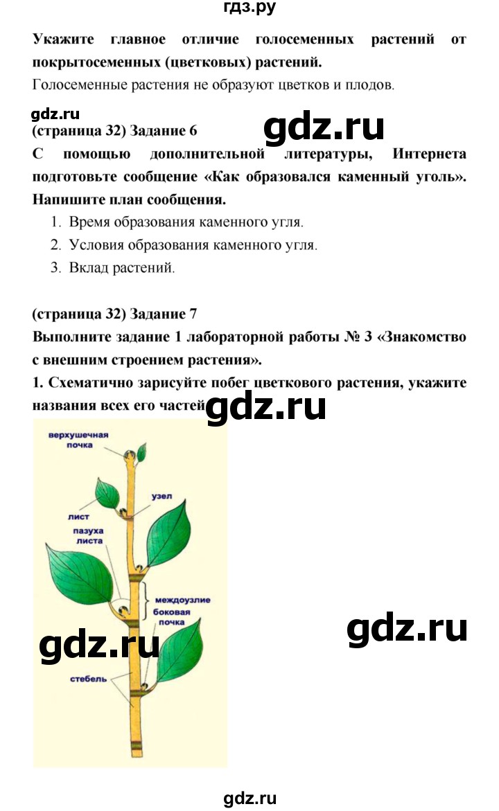 ГДЗ по биологии 5 класс Корнилова рабочая тетрадь  параграф - 11, Решебник №1
