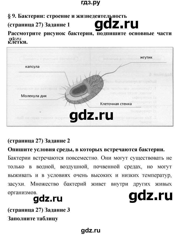 ГДЗ по биологии 5 класс Корнилова рабочая тетрадь  параграф - 9, Решебник №1