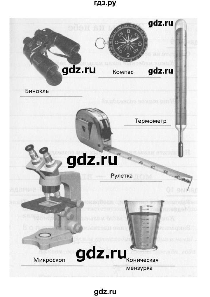 ГДЗ по естествознанию 5 класс Пакулова рабочая тетрадь  страница - 7, Решебник