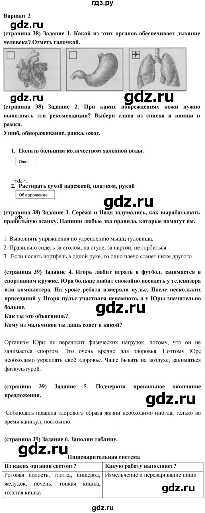 ГДЗ по окружающему миру 3 класс Плешаков проверочные  работы  мы и наше здоровье - Вариант 2, Решебник 2018