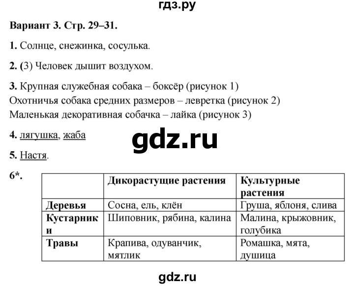 ГДЗ по окружающему миру 2 класс Плешаков проверочные работы  природа - Вариант 3, Решебник 2023