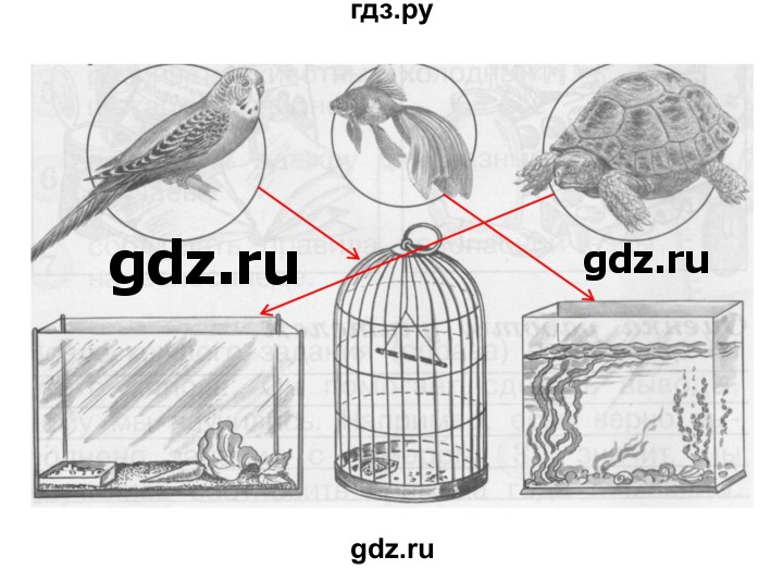 ГДЗ по окружающему миру 1 класс Плешаков проверочные работы  страница - 27, Решебник 2017