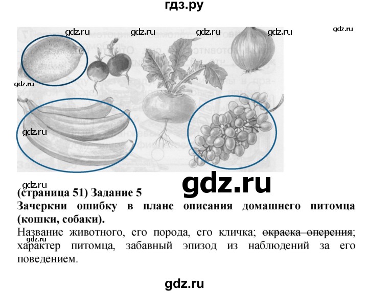 ГДЗ по окружающему миру 1 класс Плешаков проверочные работы  страница - 51, Решебник 2017