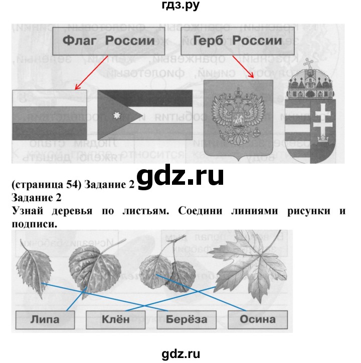 ГДЗ по окружающему миру 1 класс Плешаков проверочные работы  страница - 54, Решебник 2017