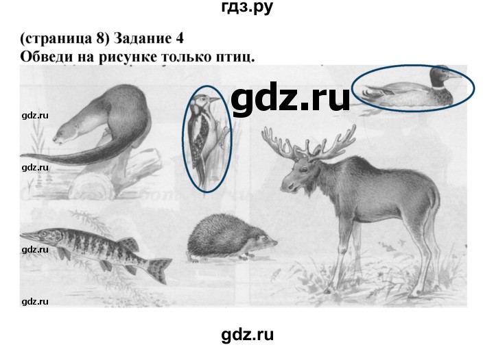 ГДЗ по окружающему миру 1 класс Плешаков проверочные работы  страница - 8, Решебник 2017