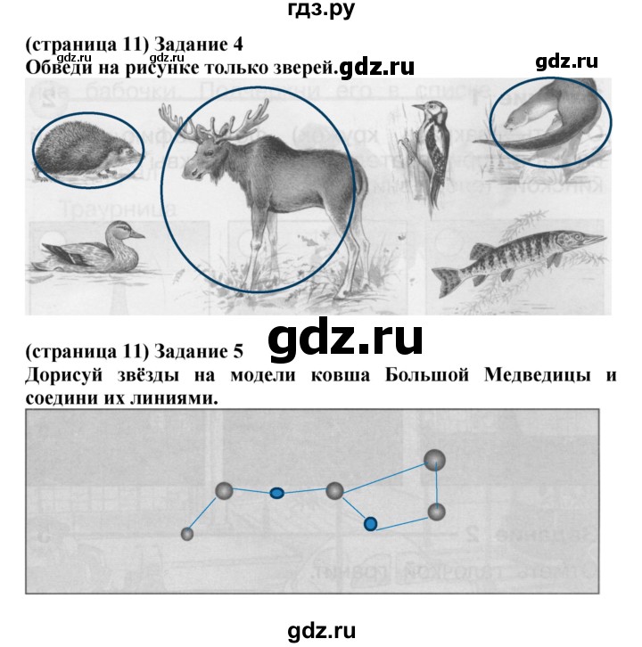 ГДЗ по окружающему миру 1 класс Плешаков проверочные работы  страница - 11, Решебник 2023