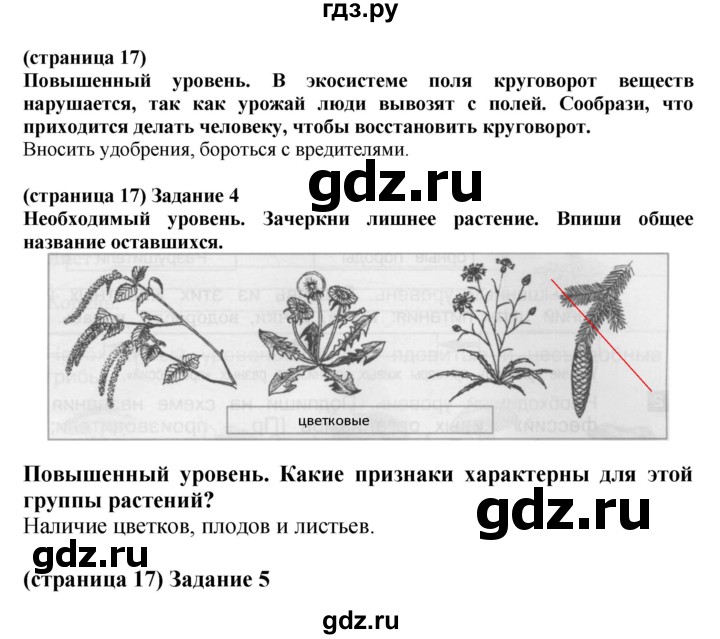 ГДЗ по окружающему миру 3 класс Вахрушев проверочные и контрольные работы  часть 1 (страница) - 17, Решебник